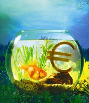 аквариум с золотой рыбкой для привлечения денег